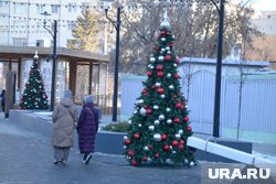 Теплый день спрогнозировали тюменцам синоптики