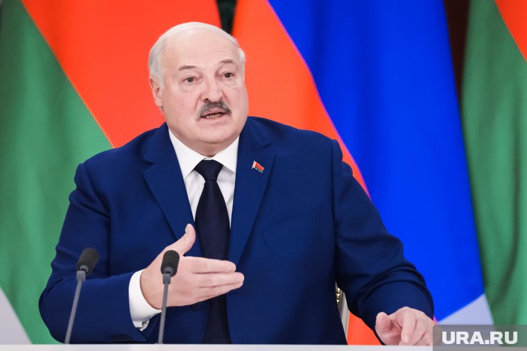 Ситуация с картофелем в Беларуси стабилизируется, пообещал Лукашенко