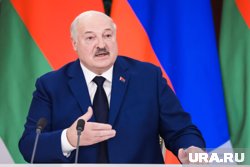 Ситуация с картофелем в Беларуси стабилизируется, пообещал Лукашенко 