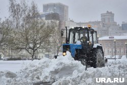Прибыль компании достигла 218 млн рублей