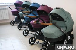 Жительницу Шадринска обманули при покупке детской коляски