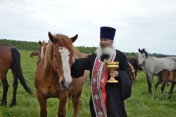 Епископ Владимир освятил завод и благословил конное стадо в Шадринске 