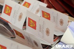 Волк заявляла, что внедрение нового паспорта РФ не соответствует действительности