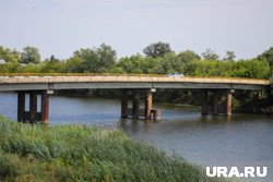 В Кургане к вечеру сильно активизируются комары