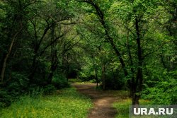 Подбирать и трогать находку грибник не рискнул