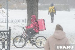 Курьеры в топе востребованных профессий в Тюмени