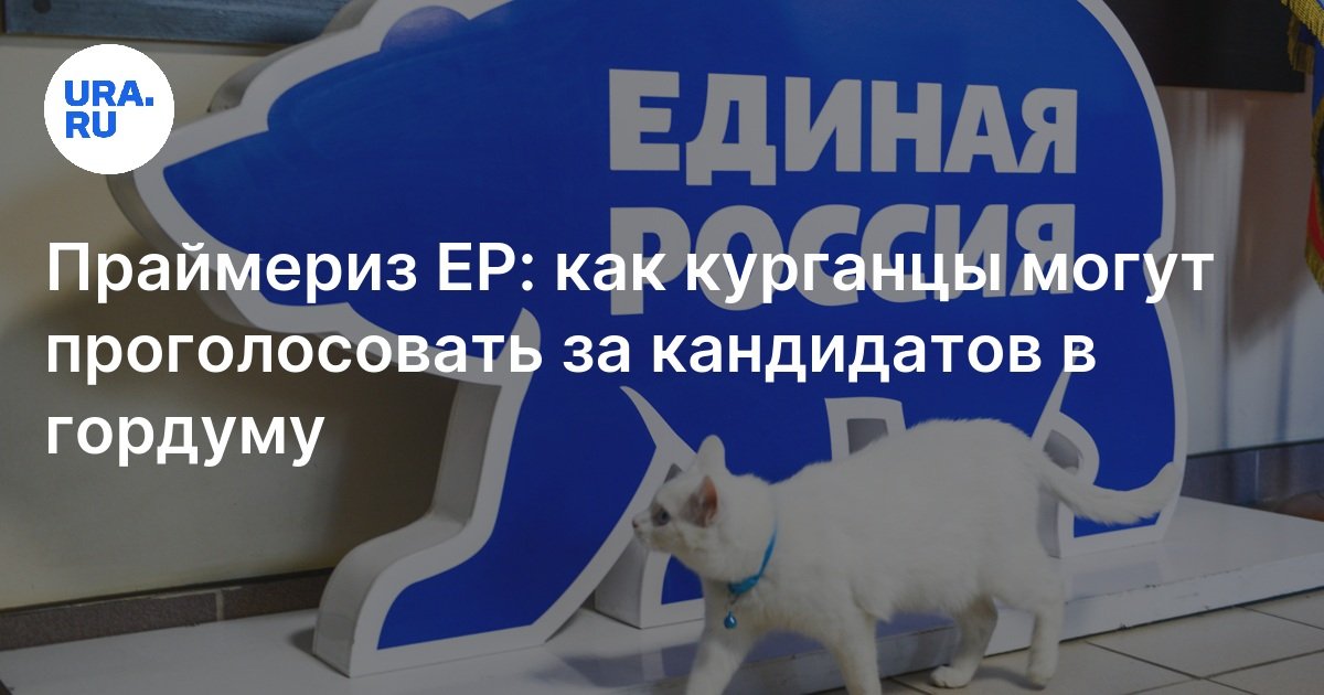 Предварительное голосование ЕР за кандидатов в гордуму Кургана