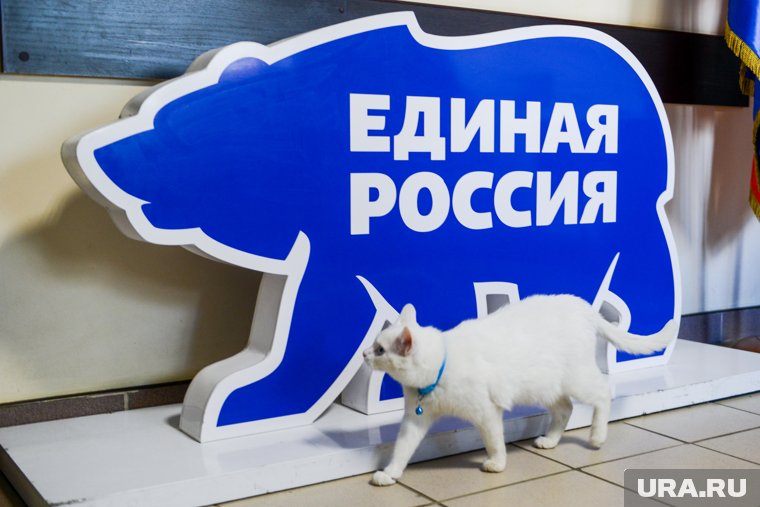 В Кургане предварительное голосование продлится до 26 мая