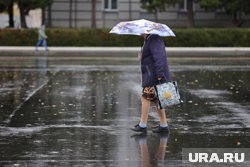 В городе идет дождь (архивное фото)
