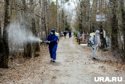 Запланировано обработать девять тысяч гектаров