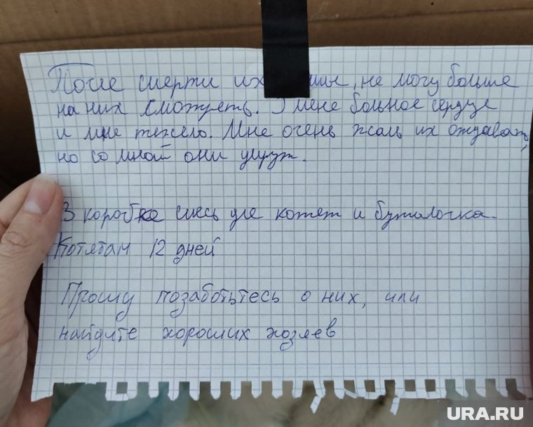 Бывшая хозяйка котят оставила записку