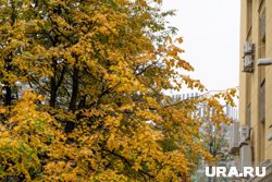 Температура начнет стремительно падать после 9 октября