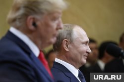 Встреча Путина и Трампа может пройти в ОАЭ на следующей неделе