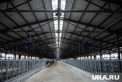 Изменения будут выгодны арендаторам сельхозобъектов (архивное фото)