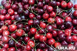 Пассажиры из Таджикистана завозили в Сургут черешню в неограниченных количествах