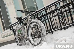 Зима по традиции наступит неожиданно