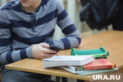 Пятиклассник хотел найти подругу в telegram-чате «Дайвичник» (архивное фото)