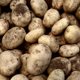 Картофельный антирекорд: почему в России взлетели цены на продукт первой необходимости