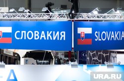 Запад неоднозначно отреагировал на встречу вице-премьера Словакии с Владимиром Путиным 