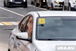 С начала года в ХМАО компенсацию за ОСАГО получили 250 инвалидов