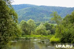 Реки КУБа загрязнены из-за изливов от затопленных шахт