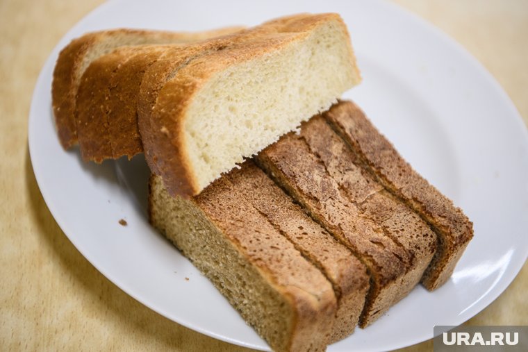 Курганских школьников месяцами кормят сухпайками вместо горячего питания