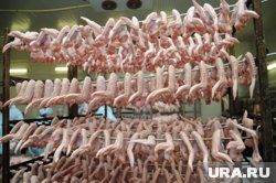 Срок годности мяса был самовольно продлен на шесть дней