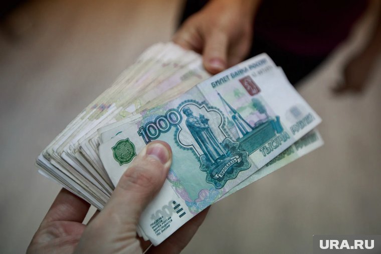 Правительство Курганской области изучит мнение населения об уровне коррупции