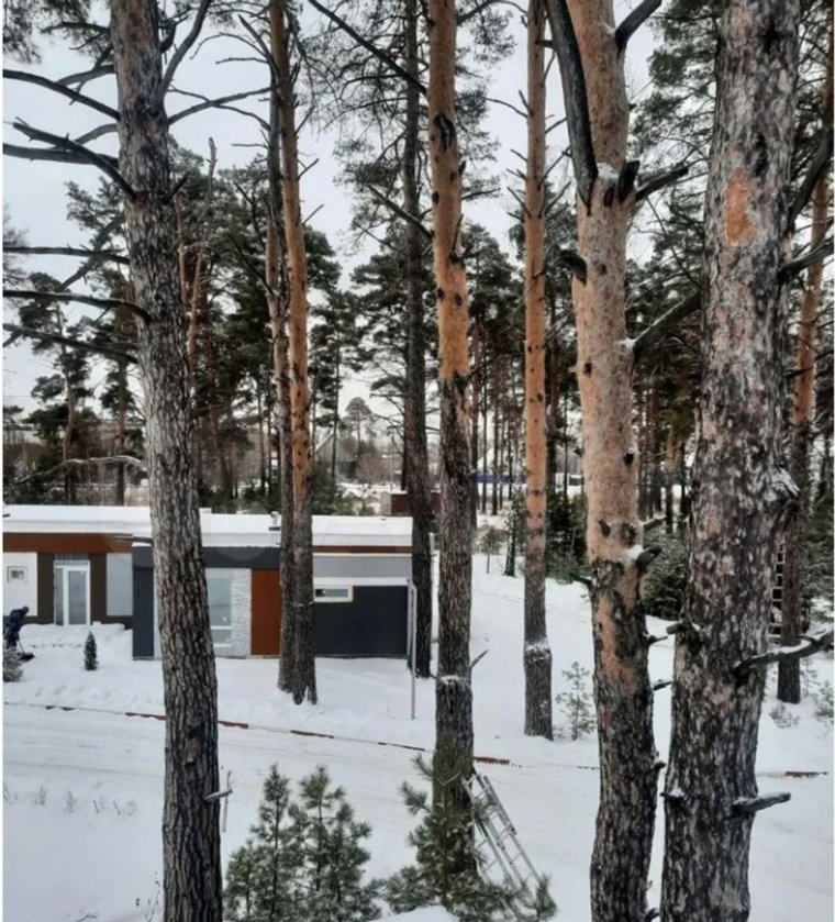 Дом, в котором можно разместиться большой компанией, находится практически в лесу, но при этом в черте города