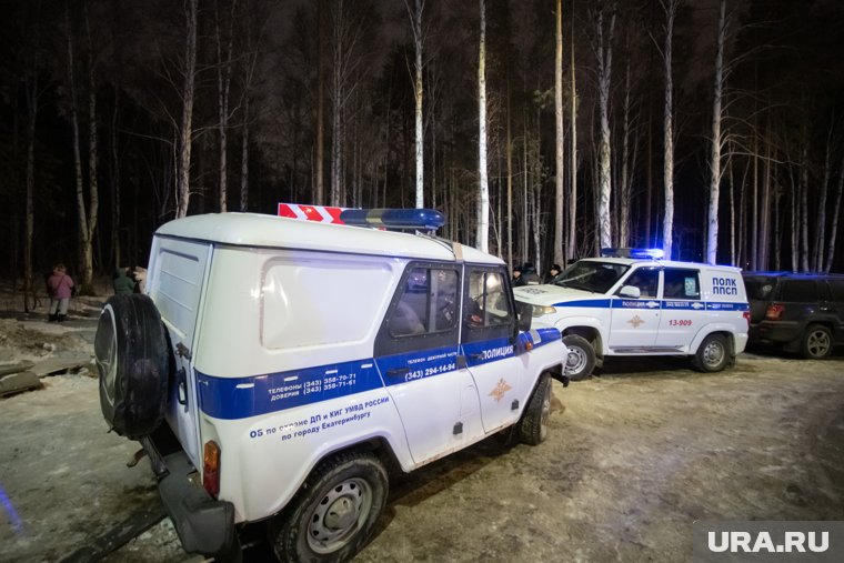 Труп найден в лесу по улице Кедровой