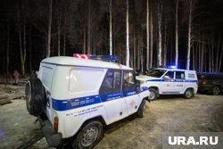 Труп найден в лесу по улице Кедровой