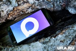 Новый мессенджер MAX журналисты URA.RU оценили как перспективный