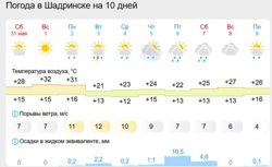 Прогноз на 10 дней