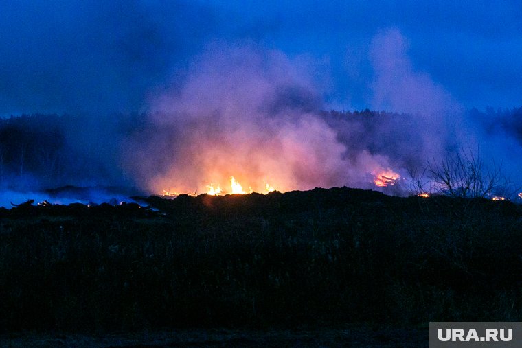 Зарево пожаров и запах сжигаемых кур в Тюмени будут вспоминать еще много лет