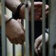 Сотня земельных участков на два миллиарда рублей: главное о деле главы Крымского района Сергее Лесе