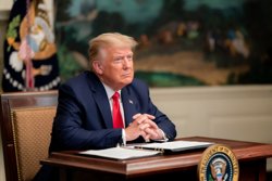 Причиной разговора Путина и Трампа стали теракты Киева
