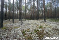 Снабдите ребенка свистком и оденьте в яркую одежду, чтобы не потерять его на природе