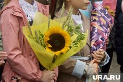 Миронов заявил, что цены на цветы ко Дню знаний «бьют все рекорды»