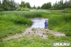 Скорая примчалась через 7 минут, но было поздно