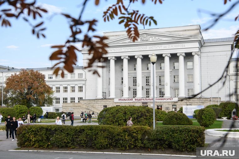 Технологии ИИ введут на два года