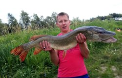 Вес пойманной щуки составлял около 12 кг
