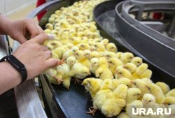 Фабрика входит в крупный российский холдинг 