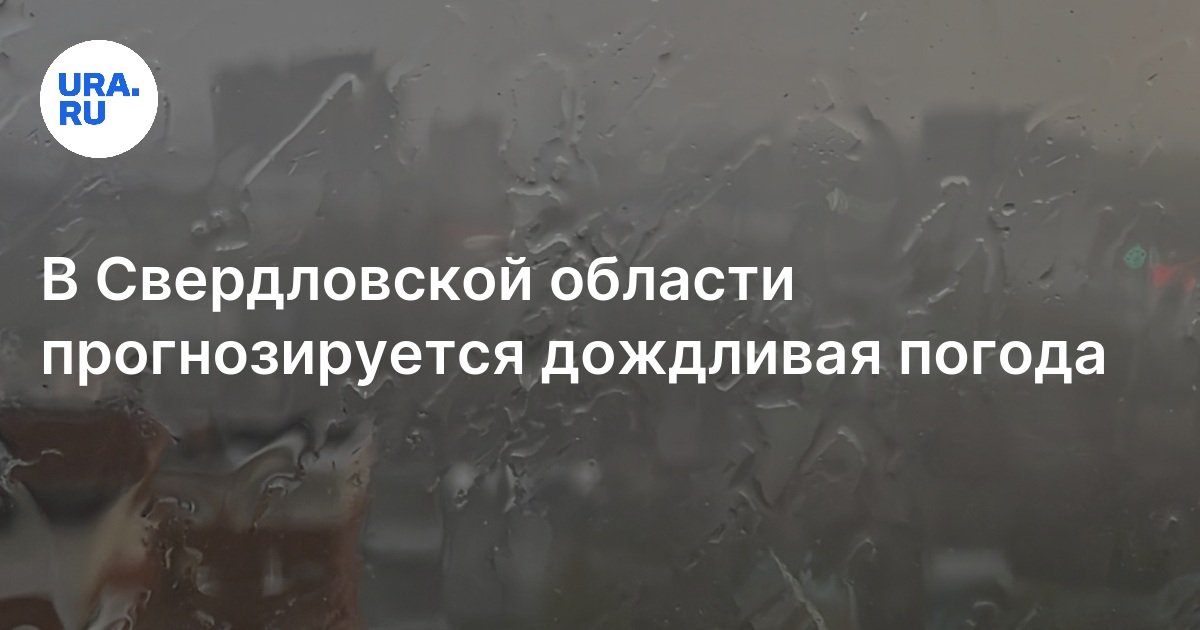 Погода в Свердловской области 9 июня 2024 года