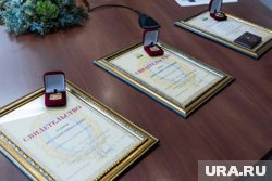 Высокие награды получили три челябинца