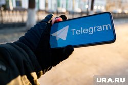 В России предложили заблокировать Telegram в угоду российскому мессенджеру Max