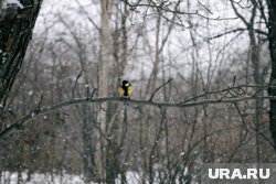 В регионе до конца года температура воздуха будет выше нормы на 3–7 градусов