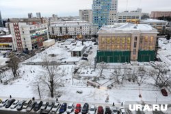 Компьютерная программа позволит оценить, где в городе не хватает деревьев 