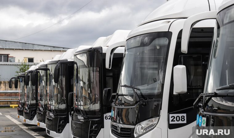 Сейчас компания выпускает до 260 единиц в год