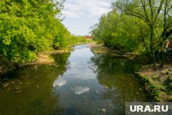 В Курганской области есть много мест для отдыха (архивное фото)