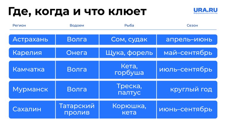 Когда и где лучше ловить определенную рыбу